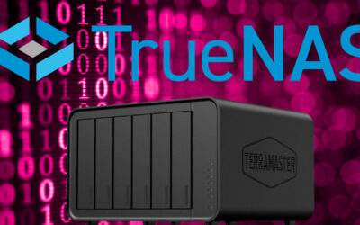 TERRAMASTER + TrueNAS = WIN!